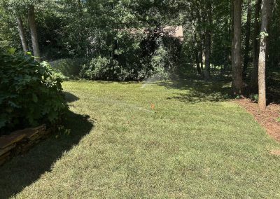 A green backyard lawn with sprinklers spraying water, surrounded by trees and bushes on a sunny day.
