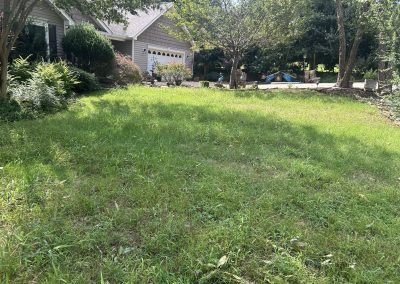 A sunny front yard with green grass, shrubs, and a house with a garage in the background.