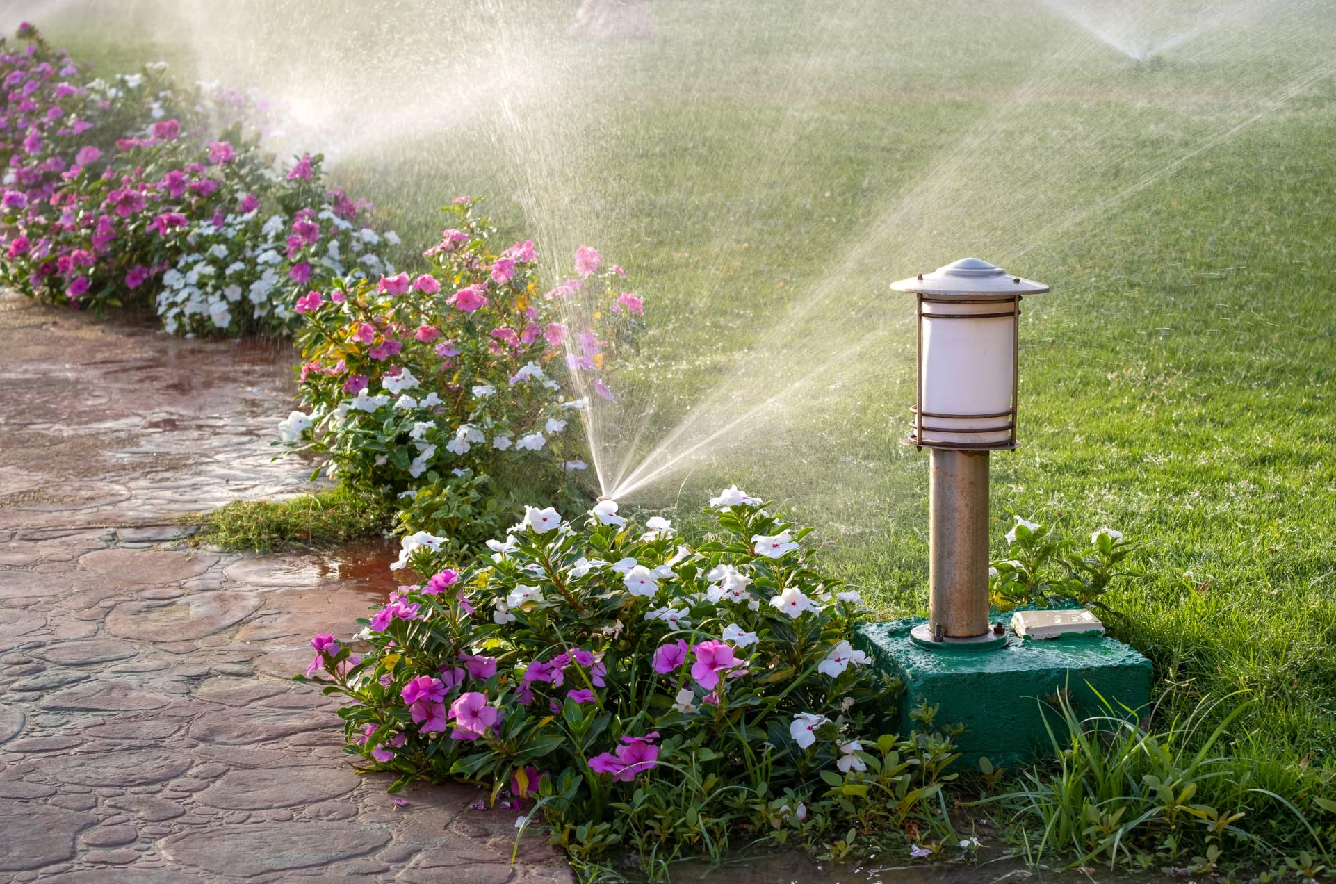 Irrigation Systems Lakeview